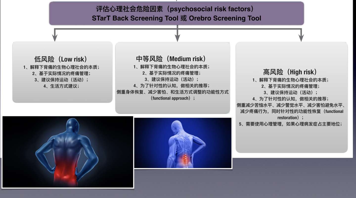 下背部疼痛与健身运动之间的关系 知乎