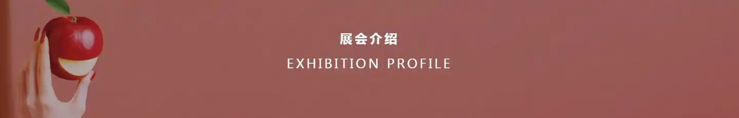2024年上海第26届进口膨化食品展览会【FHC环球食品展】