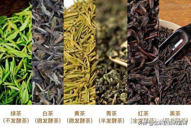 生茶張詳解普洱屬於什麼茶類是否屬於六大茶類中的一種