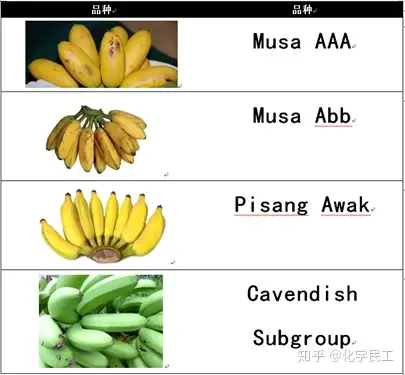 抗性淀粉由euresta(european flair concerted action on resistant