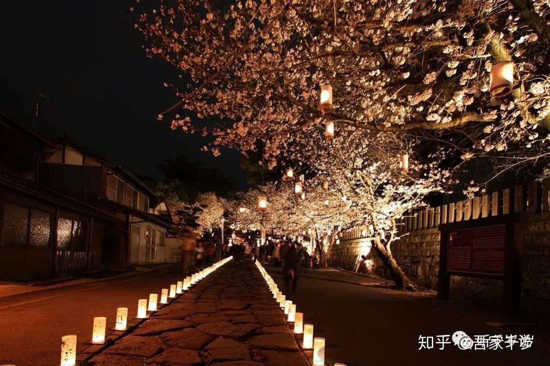 熊本县 健军神社熊本熊肥后本妙寺御舆来海岸 知乎