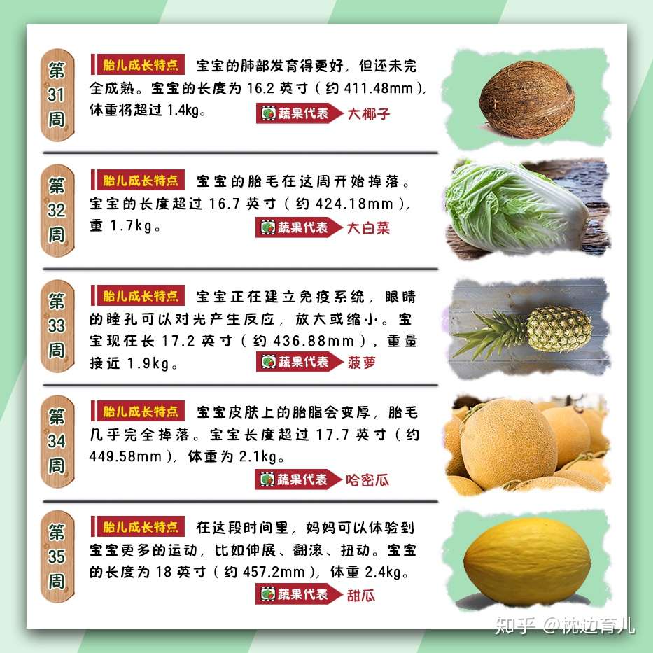 22周的宝宝像小南瓜 40周胎儿大小get 知乎