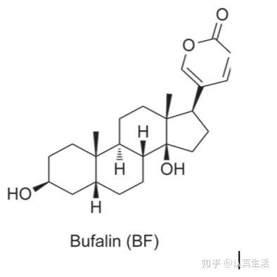 bufalin乳腺癌治疗作用的研究进展