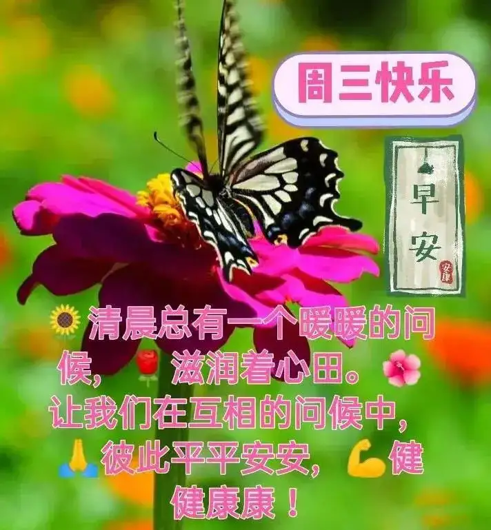 微信群发早晨好表情包图片大全 早上好问候语表情动态图片