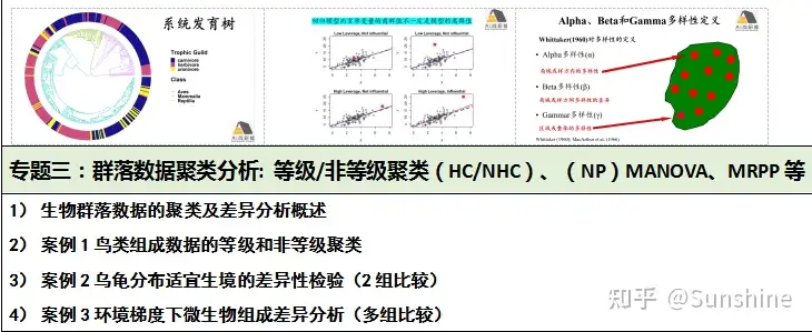 華麗 群集生態学 生物学 - llorry.com