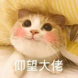 可爱猫咪等回复表情包:唉,喜欢的人怎么还没回我消息 - 知乎