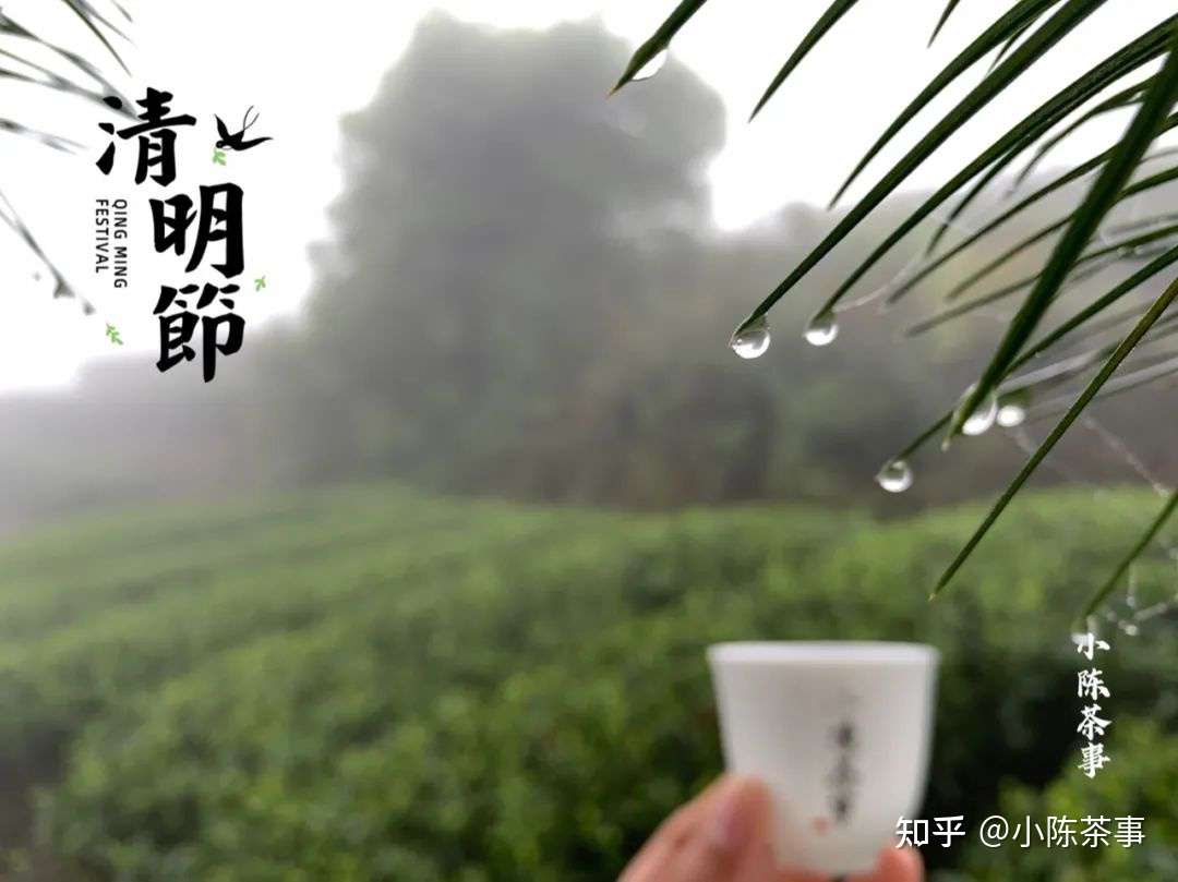 白牡丹季节里 经典的收官之作 今年的清明白牡丹采了吗 知乎