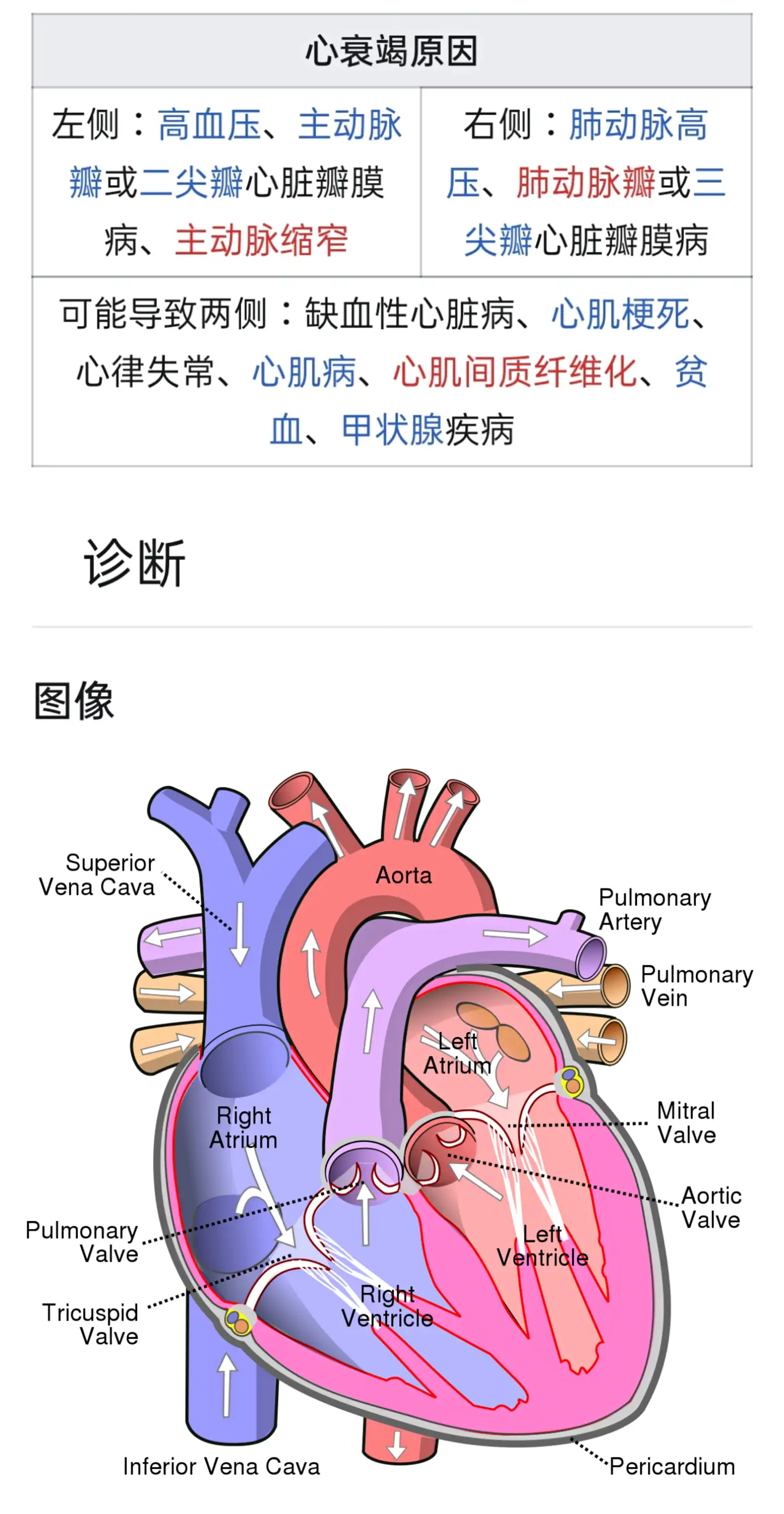 高血压—冠状动脉疾病/中风/心脏衰竭/心房颤动/周边动脉阻塞/视力受损