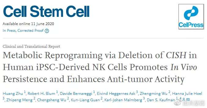 Cell子刊 敲除人ipsc衍生的nk细胞中cish基因来增强抗肿瘤活性 知乎