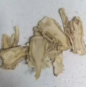 当归怎么选_当归哪里有卖在哪里可以买到