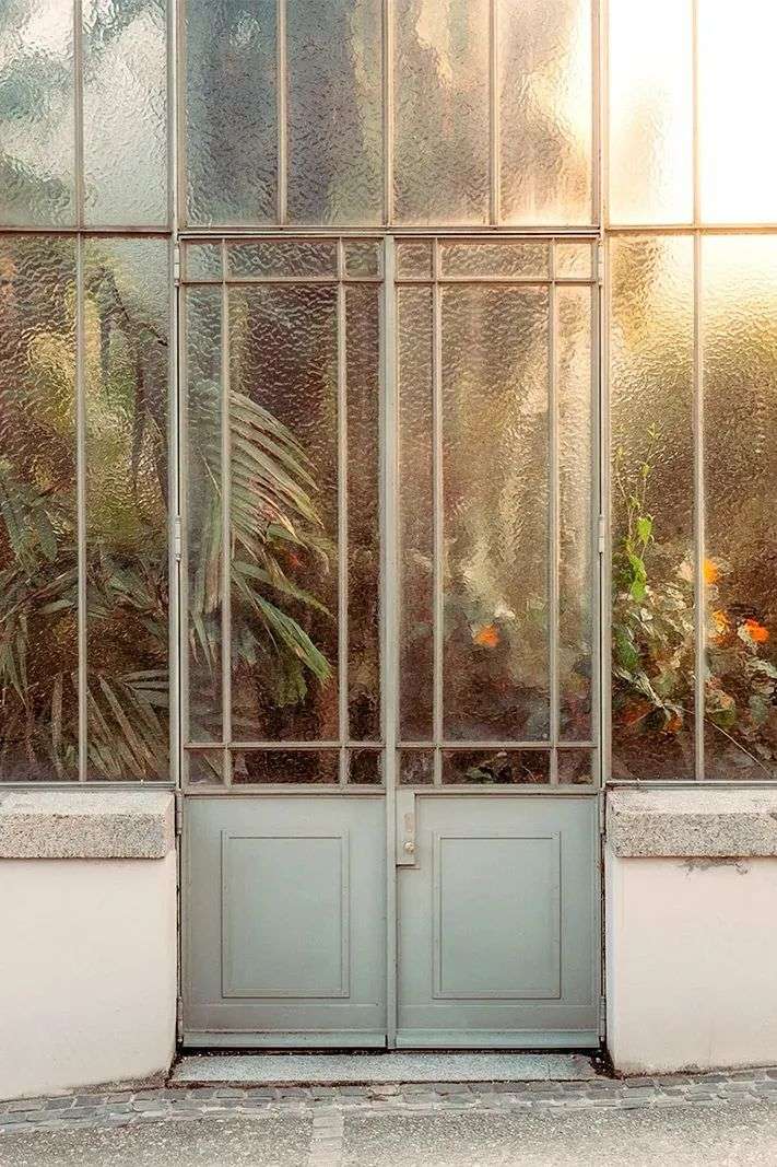玻璃背后的植物私语温室花房的惊喜 知乎