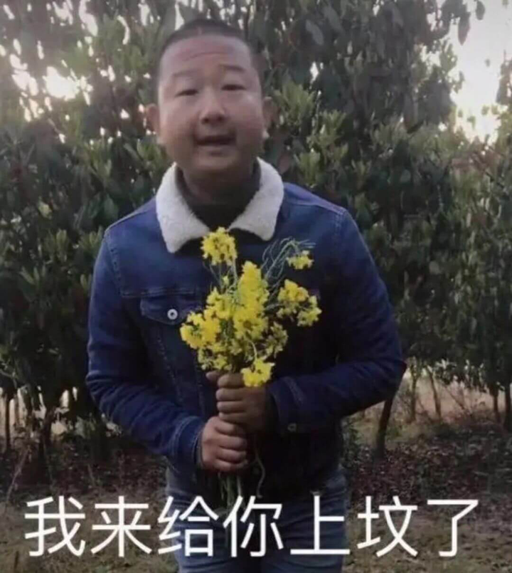 2020-2021年的网络沙雕文案句子搞笑:摩天轮就像个花圈插图3 2020-2021年的网络沙雕文案句子搞笑:摩天轮就像个花圈插图3