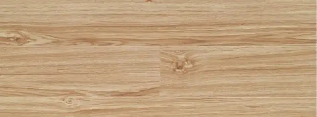 info-648-240 info-648-240