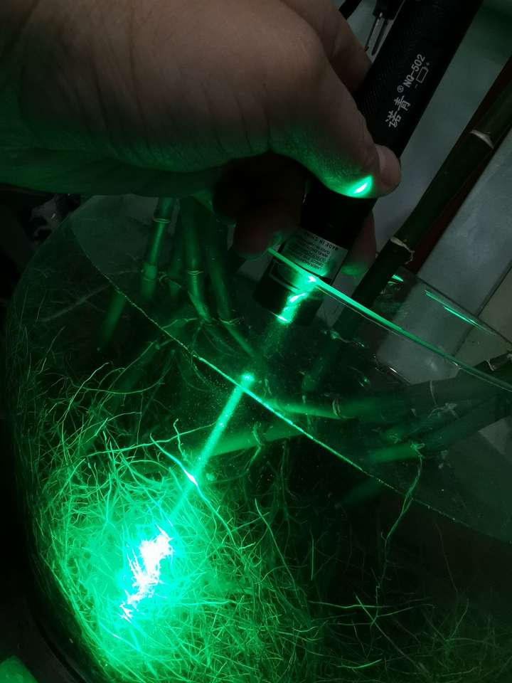 如果用激光笔射向深湖会看到什么,光很强的那种激光笔?