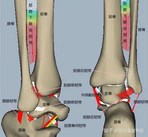 脚踝扭伤长期不好怎么办 知乎