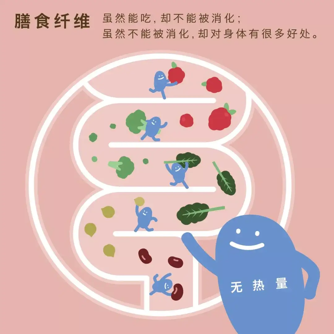 不是碳水 的碳水 膳食纤维 知乎