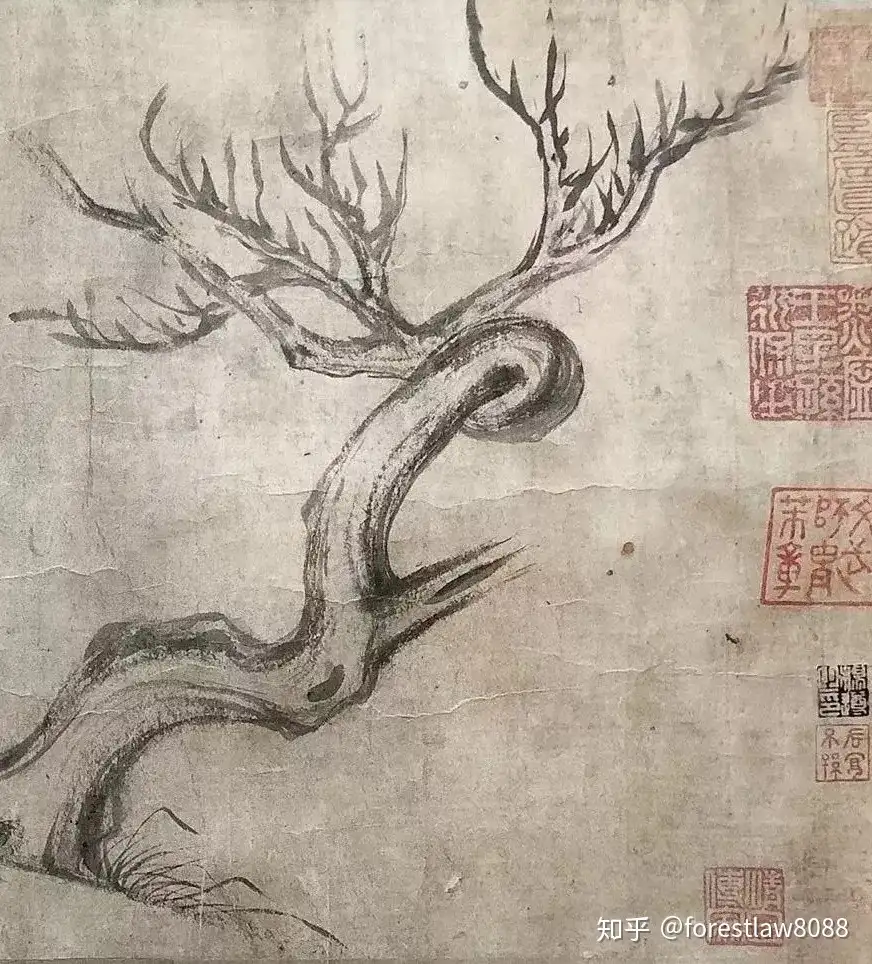 评苏东坡 枯木怪石图 知乎