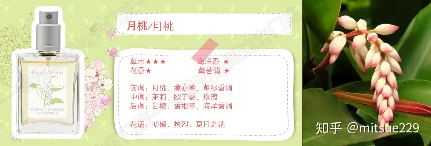 香十 沈丁花 香水 レア