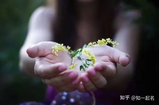 夏天出生的女孩起名 温香艳玉 月貌花容的女生名字 知乎