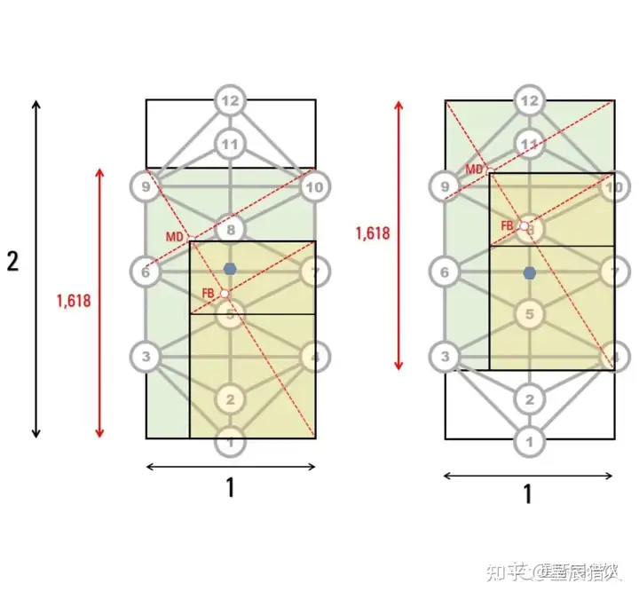 死亡之花和生命之花的区别(图28)