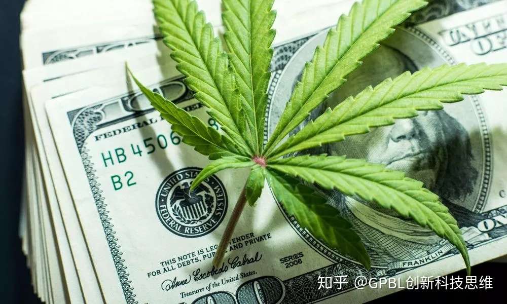 关于工业大麻 收藏版 知乎