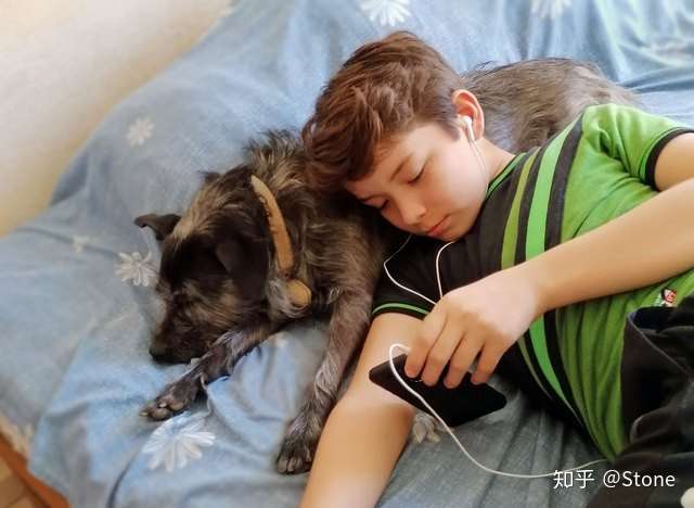 Eogo予多 狗狗为什么那么能睡 知乎