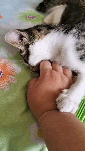 v2-69761eb923fc3105064b13b474261889_bh.jpg?source=1940ef5c