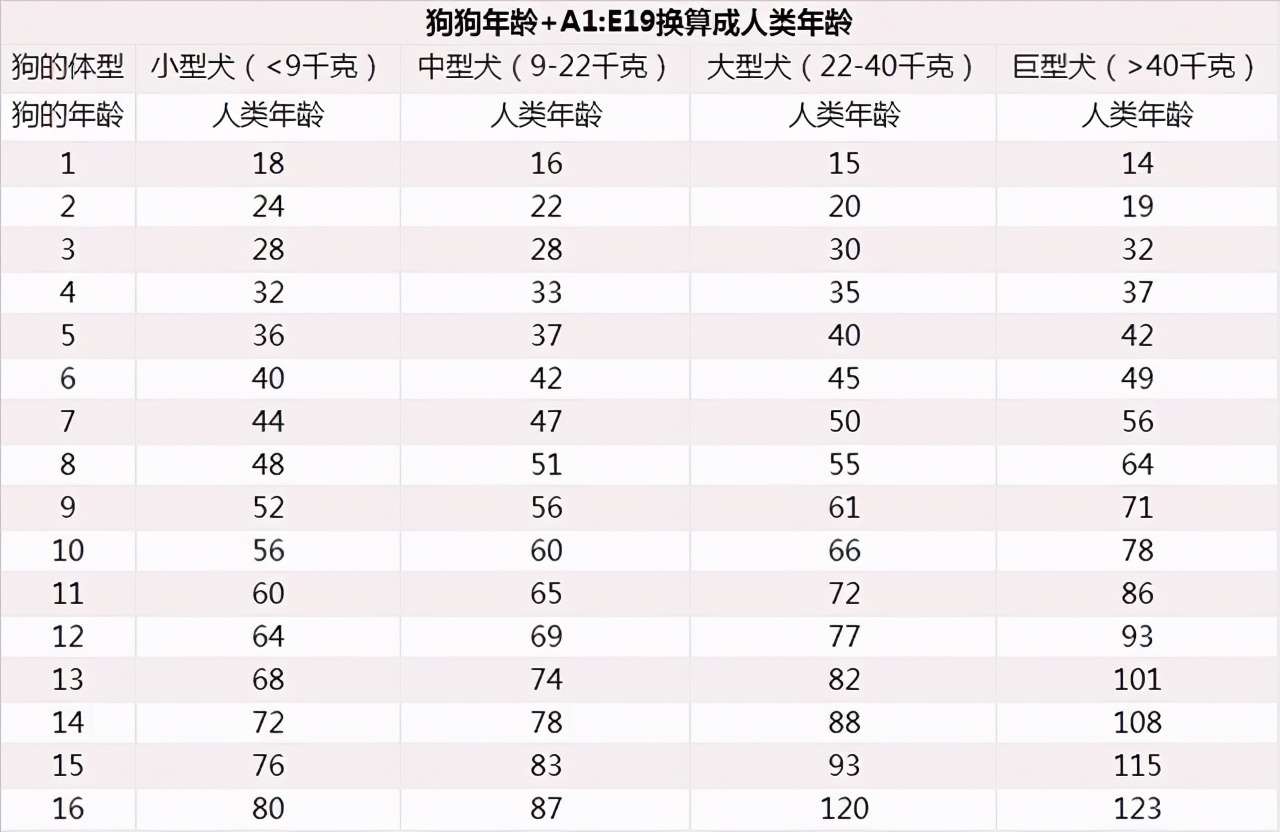 狗狗年龄对照表 你家狗狗现在几岁了 知乎