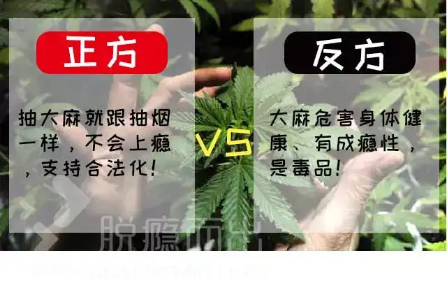 支持大麻合法化的人，可以先看看这个研究再说~ - 知乎