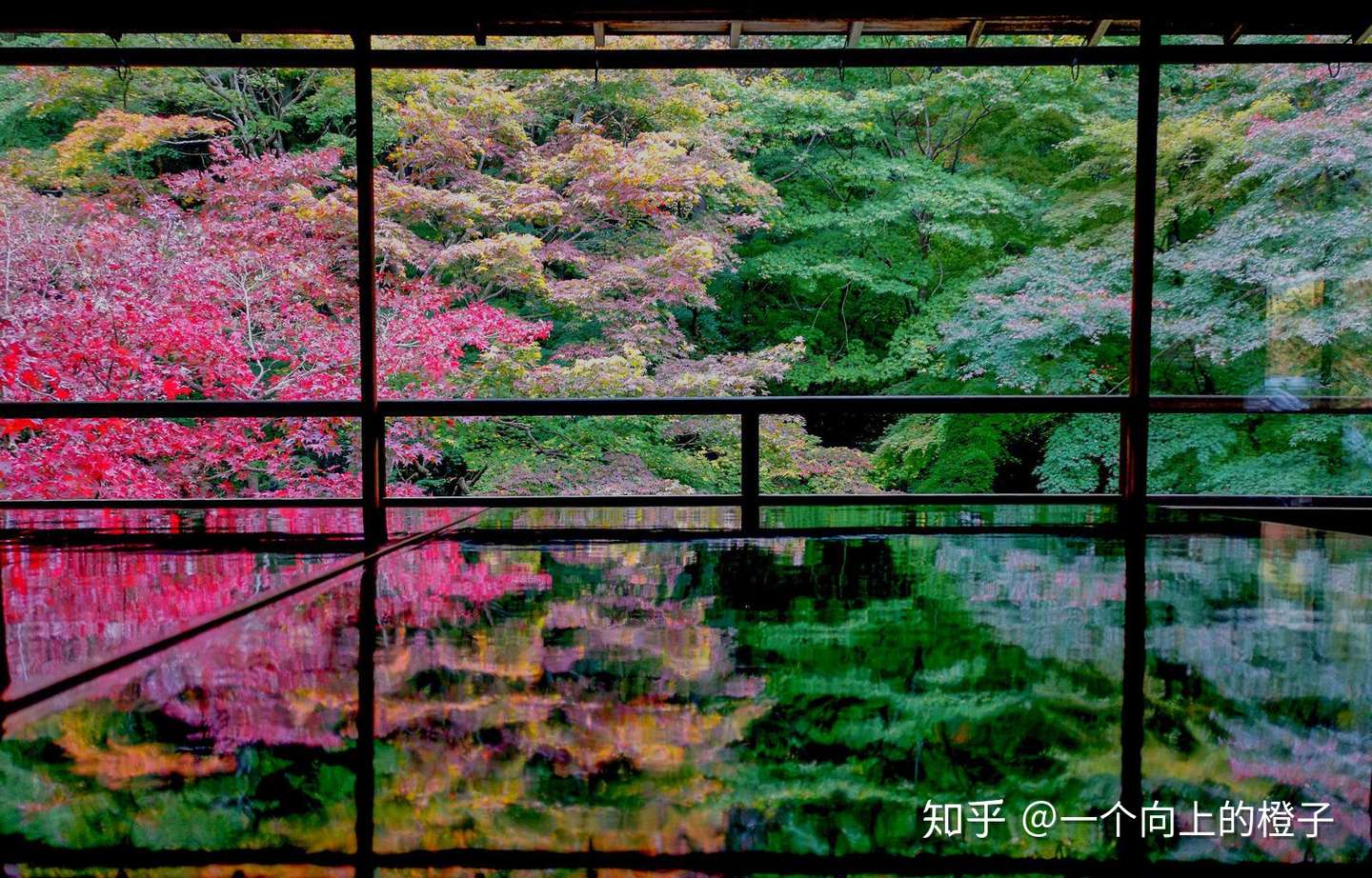 京都网红打卡景点 贵船神社 三千院 琉璃光院 宝泉院 知乎