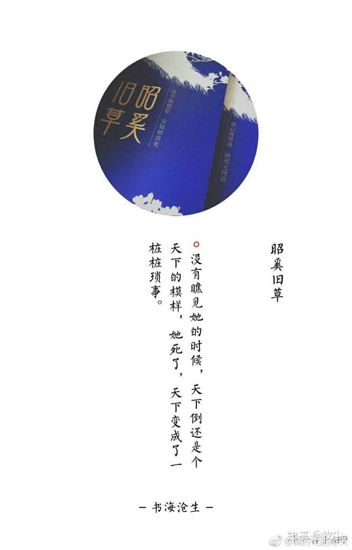 我也是《昭奚旧草》,没有之一.