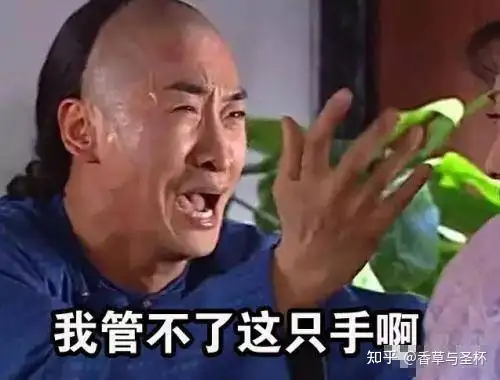 飞机杯意思飞机杯是什么?哪款飞机杯更真实?
