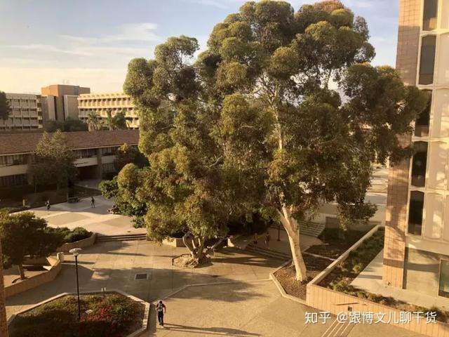 在美国著名的party School 读书是什么样的体验 知乎
