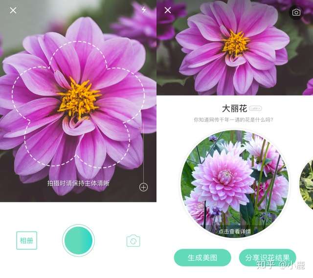 史上最强的ai识花神器 00多万用户越玩越上瘾 背后的奥秘你可了解 知乎