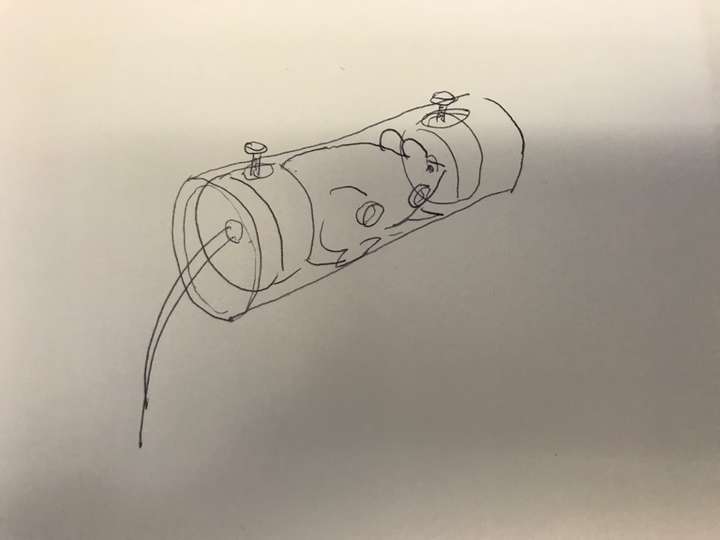 小鼠尾静脉注射操作需要注意什么?