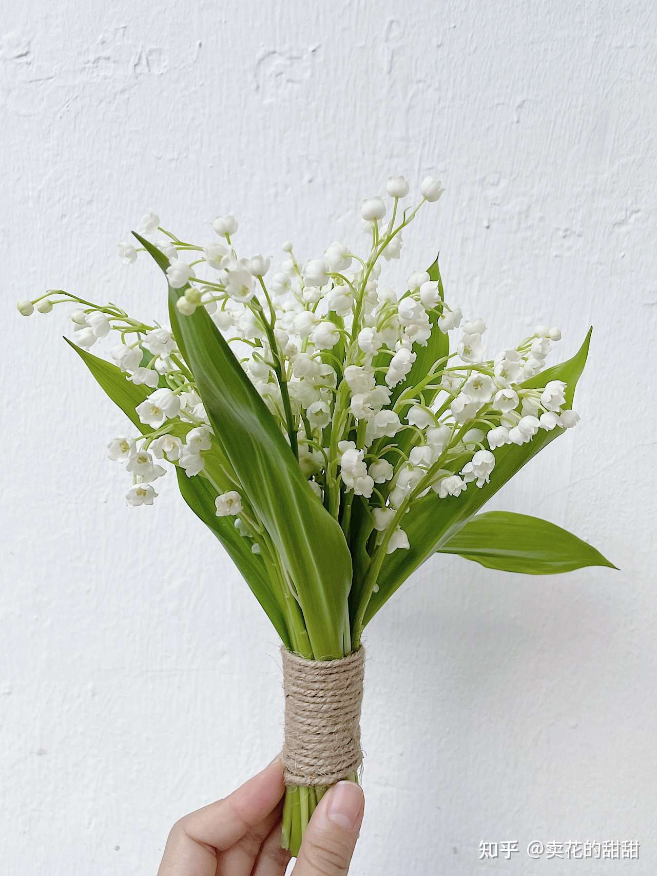 昂贵而可爱的小铃铛 铃兰 知乎