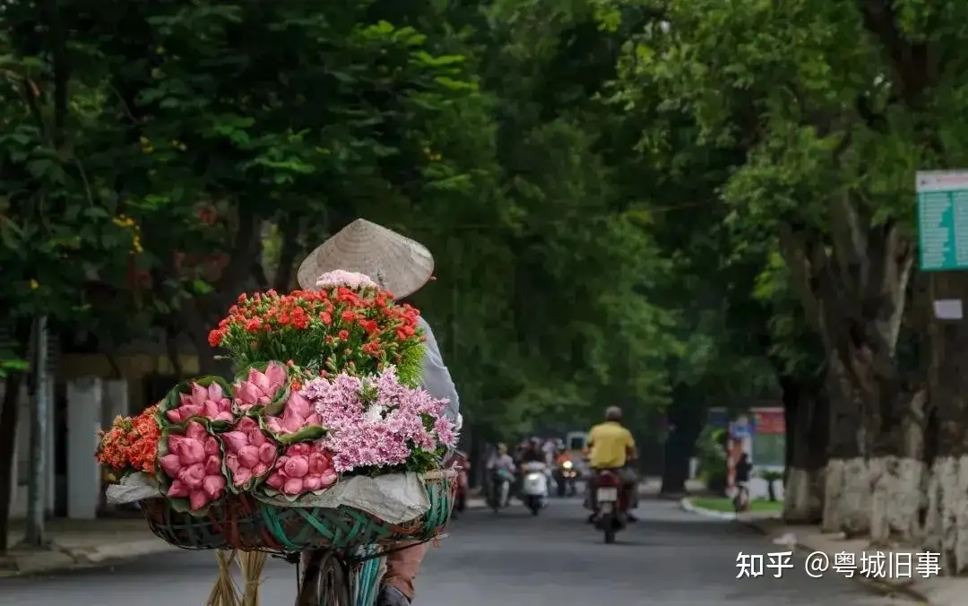 广州人独特的花店 请享受浪漫烧钱的快乐 知乎