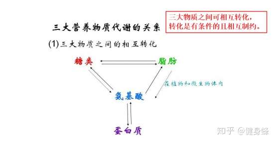 比如,三大营养物质都可以 燃烧,三大营养物质在一定条件下也可以 相互