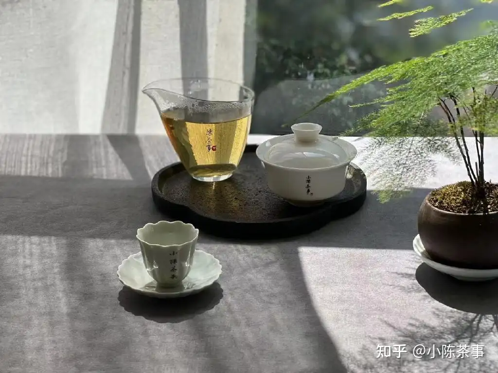 老白茶的标准冲泡攻略，从准备茶具到泡茶，看这10步就够了- 知乎