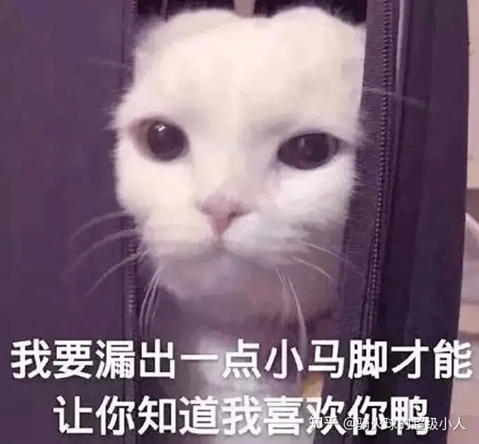 520文案100句---999