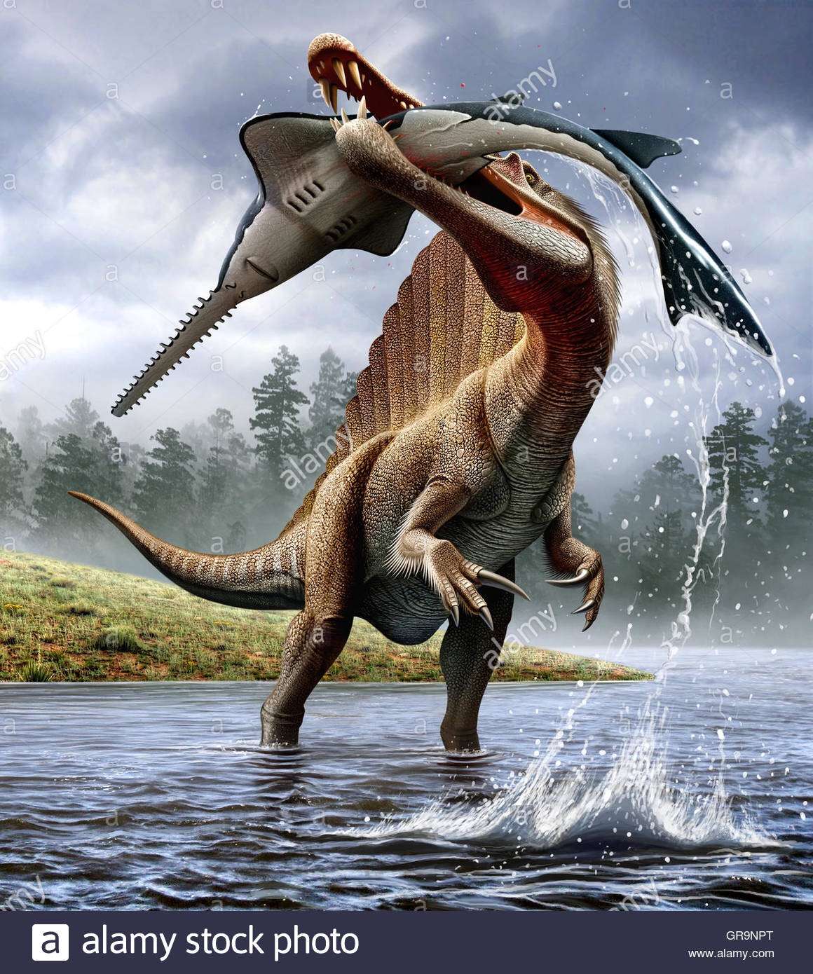 日月教主我灵鷟 的想法: 目前所知的中生代最长的兽脚类恐龙是源于