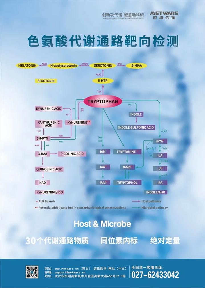 低价预警只需￥800色氨酸代谢通路靶向检测你带走