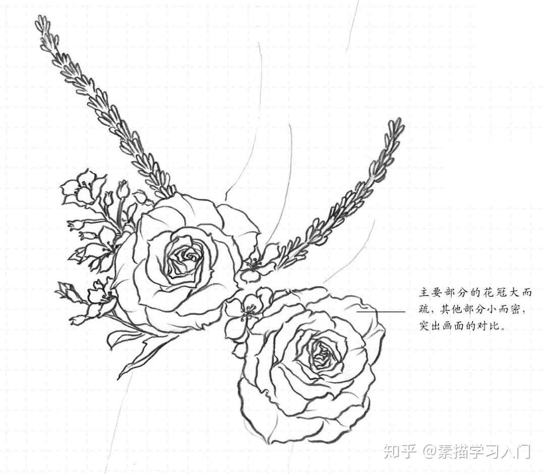 素描基础入门教程 瓶中花的画法 知乎