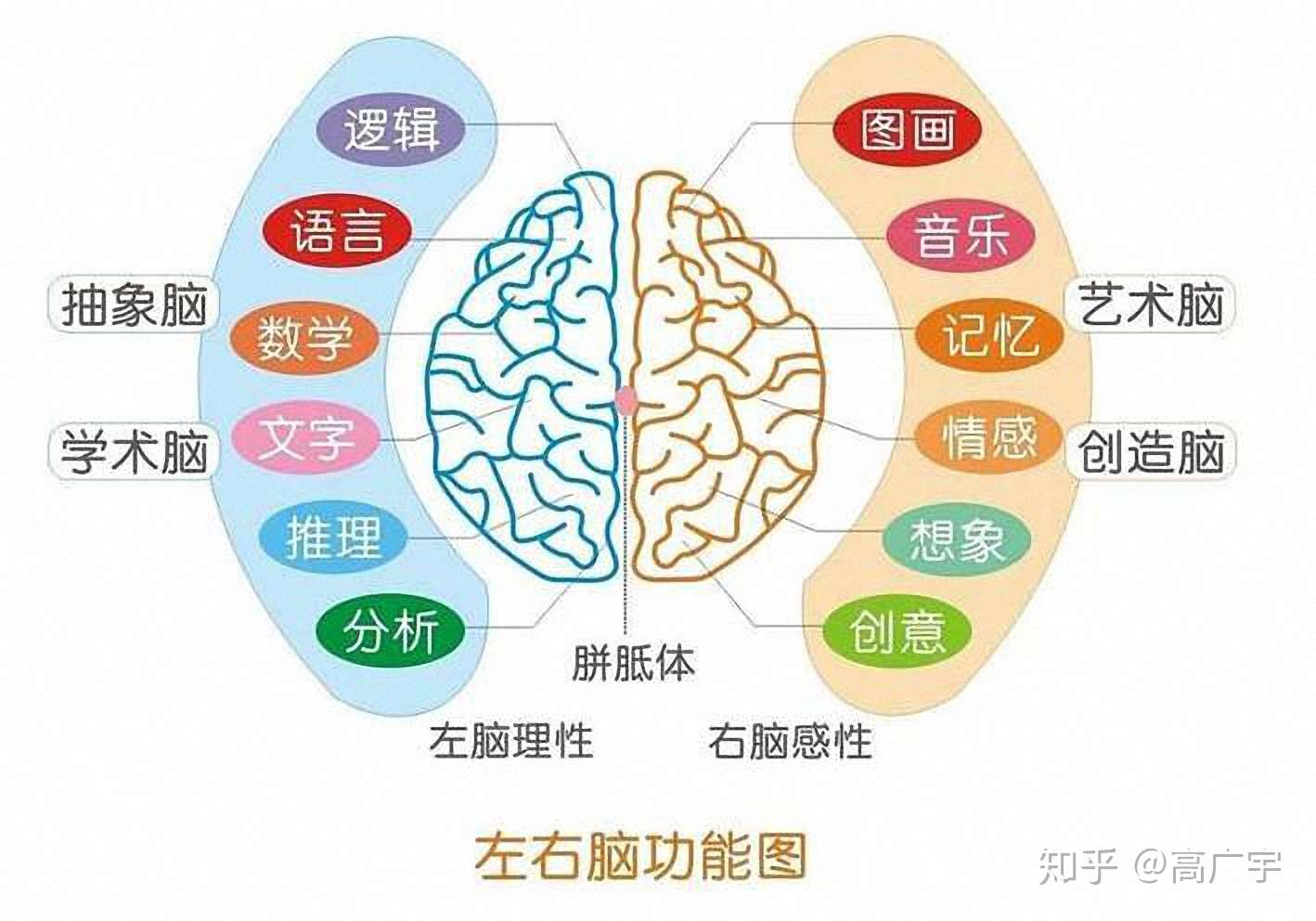 世界五大学习方法之思维导图 知乎