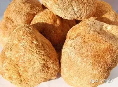 乾隆爷钟爱的猴脑你吃过吗