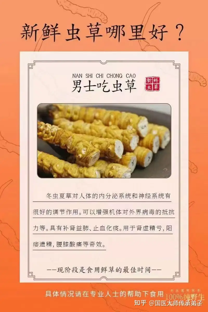 冬虫夏草，即使你花了高价，但很有可能买的还是：假冒伪劣- 知乎