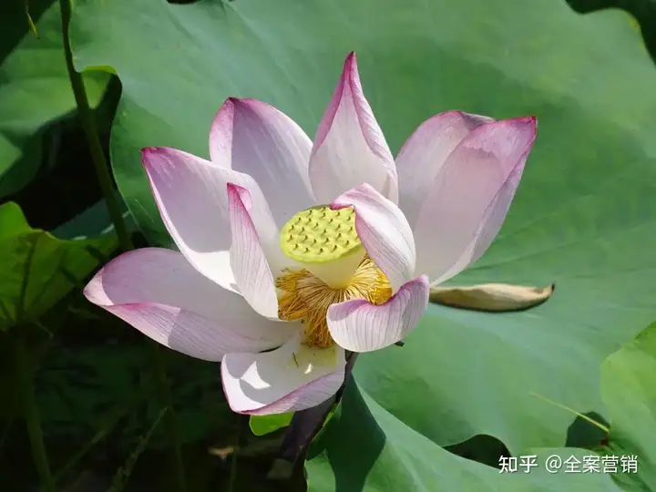 争创天府旅游名县｜再见2022，细数那些时光里的小美好
