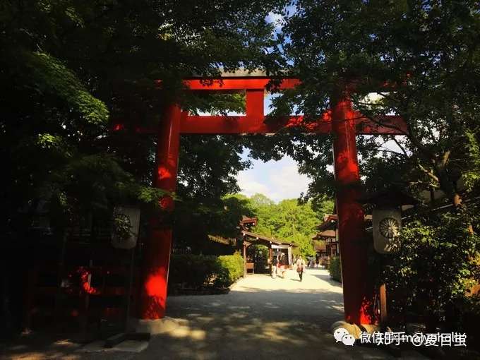 遊ぶ 最妖艳的夏颜 糺の森中の下鸭神社 知乎