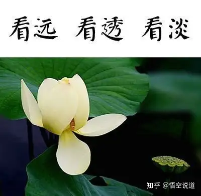 看淡一切忘记烦恼