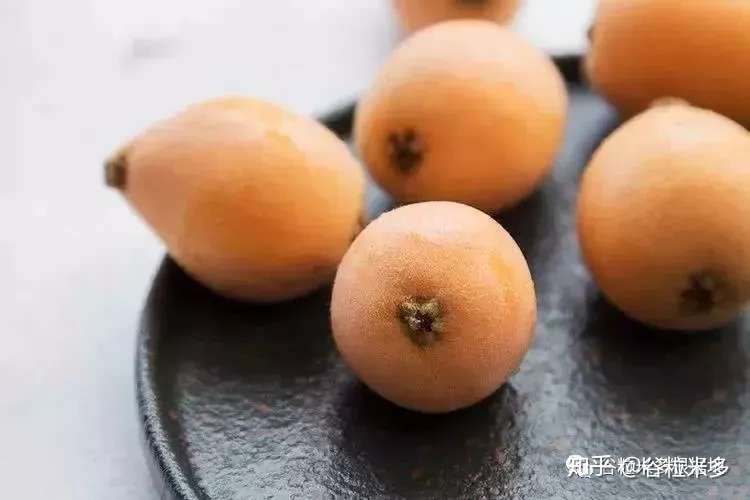 枇杷熟了 像极了春天的味道 知乎